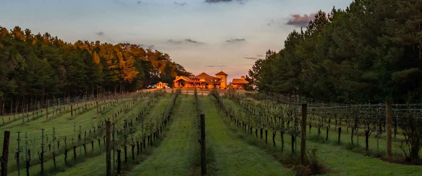 wine tours in charlotte nc